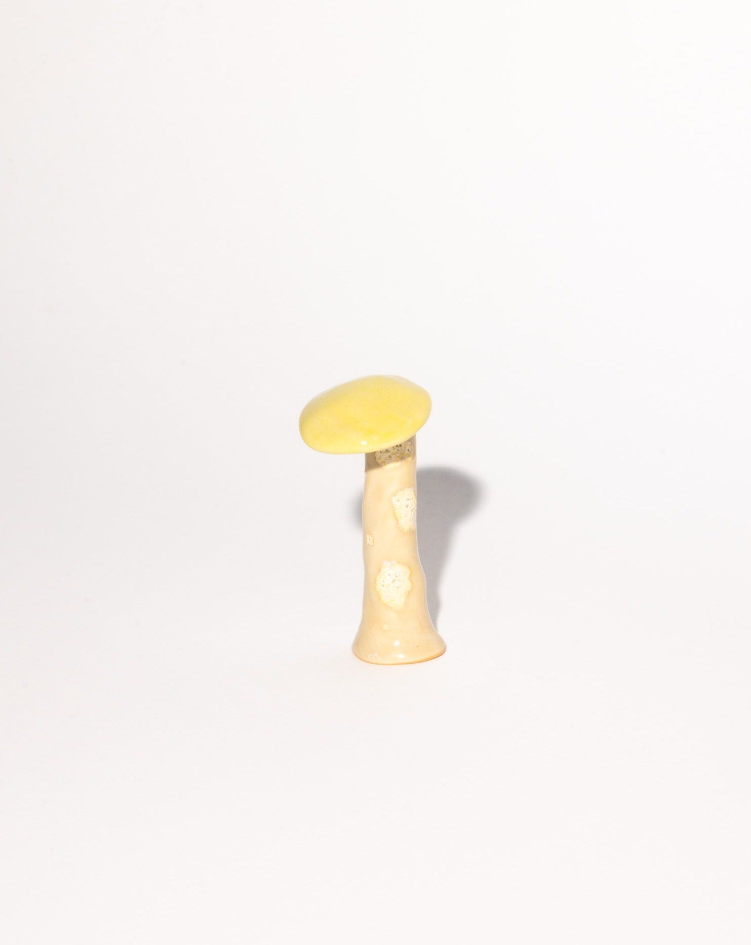 Mushroom Magnetic 04